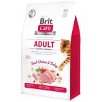 BRIT Care Cat GF Adult Activity Support
